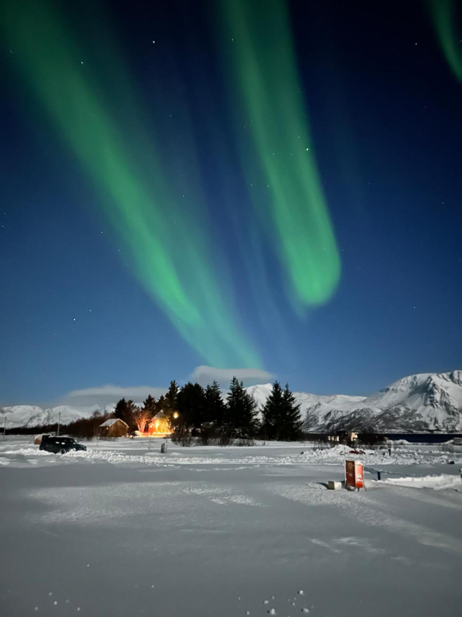 Hoda Cabin - Luxury Lodge With Jacuzzi And Sauna Lyngværet Exterior foto